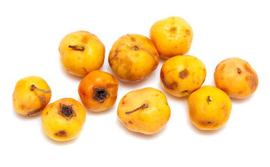 Yellow hawthorn isolated on a white background