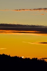 Oak Savannah Sunsets 14