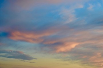 Obraz premium Oak Savannah Sunsets 13