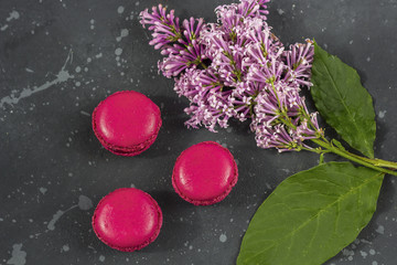 Colorful french macarons cookies(macaroons) with lilac branch of on a dark background with copy space.