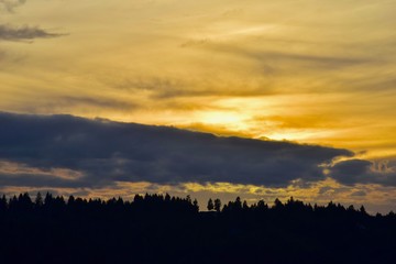 Fototapeta premium Oak Savannah Sunsets 6