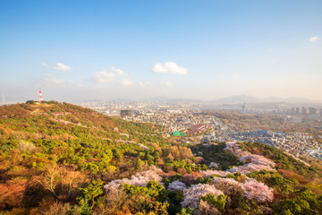 Obraz premium panoramic view of the city