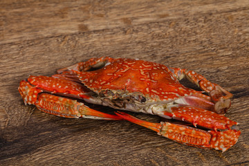 Boiled crab - ready for eat