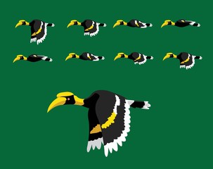 Animal Animation Sequence Hornbill Flying Cartoon Vector