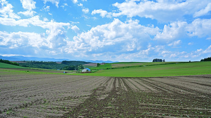 雄大な北の大地の情景＠美瑛、北海道