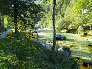 idylle am fluss soca in slowenien