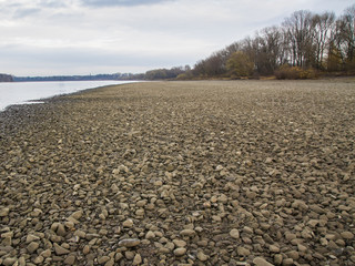 Stones in the riverbed at low tide.