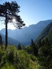 berge, baum und sonnenlicht im landschaftsidyll in slowenien
