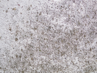 Outdoors facade concrete wall background texture with green moss
