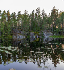 lake in forest