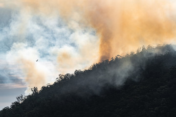 Backburning on the Knocklofty Reserve in Hobart, Tasmania