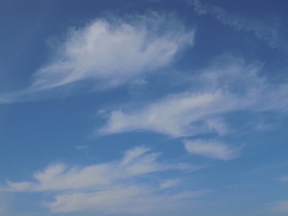 High blue summer sky with white fluffy clouds.