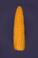 corn on the cob