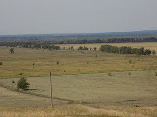 Obraz premium Summer. Fields, grass, meadows. High blue summer sky. Beautiful summer landscape.