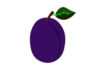 The perfect plum
