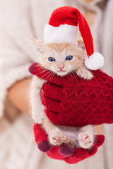 Woman with warm gloves hold cute ginger kitten with santa hat - holiday season