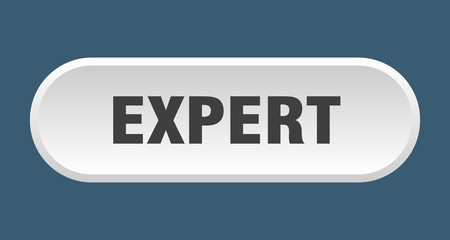 expert button. expert rounded white sign. expert