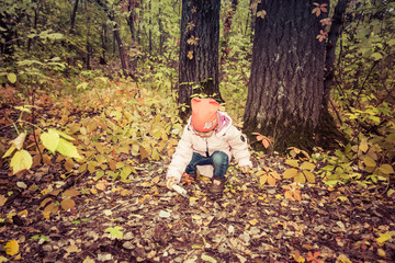 Child gathers mushrooms in the forest