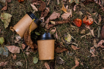 Among the yellowish autumn leafs lie kraft, paper, eco-friendly cups for coffee to go. Morning drink.