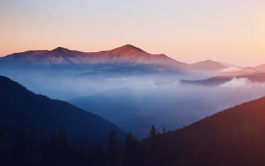 Scenic image of misty valley. Locations Carpathian national park, Ukraine.