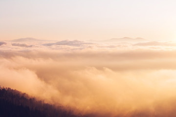 Scenic image of misty valley. Locations Carpathian national park, Ukraine.