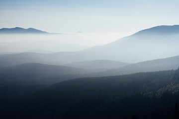 Scenic image of misty valley. Locations Carpathian national park, Ukraine.