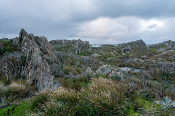 Sarah Anne Rocks on the Tarkine Coast of Tasmania