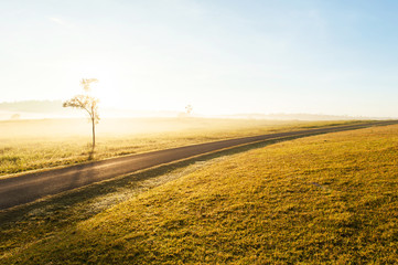 A tranquil road across the grassland at sunrise.