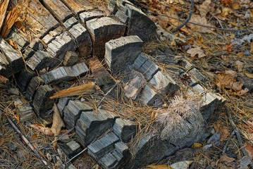 gray brown texture from old wooden logs
