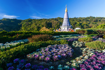 Scenery garden and pagoda on the mountain peak.