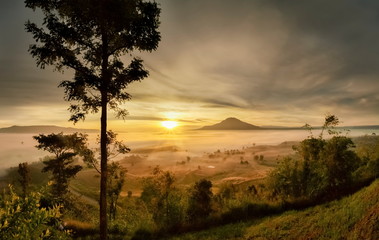 Mountain view panorama above forest and top hill around with sea of fog with yellow sun light and cloudy sky background, sunrise at Khao Takhian Ngo, Khao Kho, Phetchabun, Thailand.