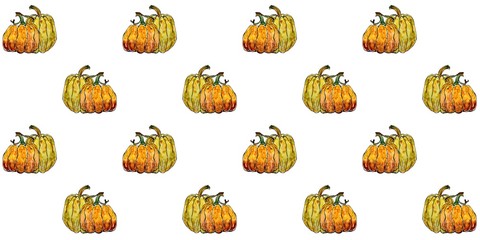 Pattern of watercolor hand drawn illustration pumpkins. Template for design harvest , Halloween