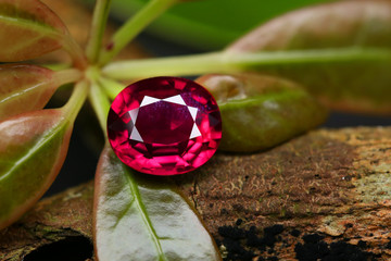 Red Gem Art and Decoration Gemstone RED RUBY