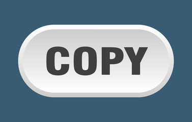 copy button. copy rounded white sign. copy