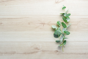 Sprig of eucalyptus on a wooden table. Top view. Free space for your text.