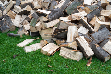 Quartered hornbeam firewood stack on green grass