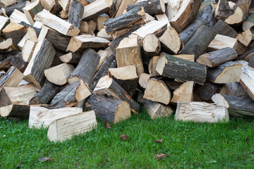 Hornbeam firewood stack on green grass