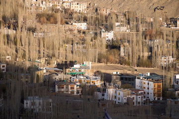Fototapeta premium Lanscape scene of Leh city and mountain layer with shade and light. Ladakh, India land of high passes.