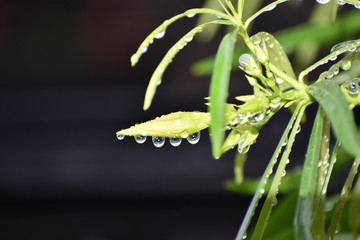 Beauty in the Nature