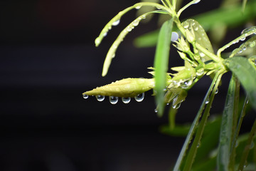 Beauty in the Nature