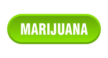 marijuana button. marijuana rounded green sign. marijuana
