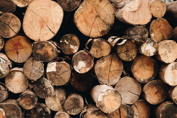 Old natural brown log wood texture background. Vintage style.