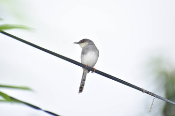 Beauty in the Nature