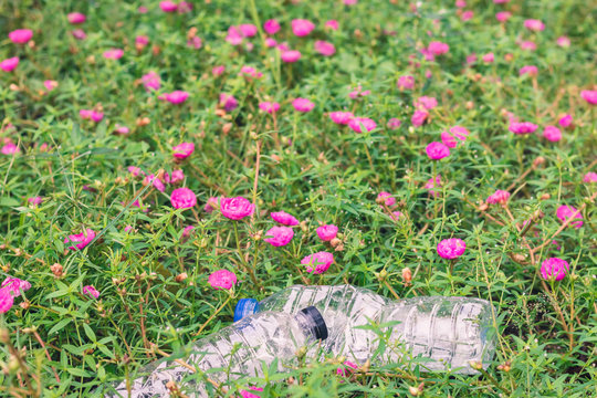 Empty Plastic Bottles In Flower Garden. Discipline To Keep Public Park Clean By Drop In The Bin. Concept Of Love Earth, Recyle, Reuse, Reduce And Zero Waste For Sustainable Environment And Ecology.