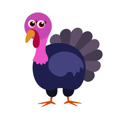  Turkey bird, flat, vector illustration