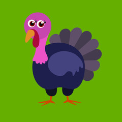  Turkey bird, flat, vector illustration