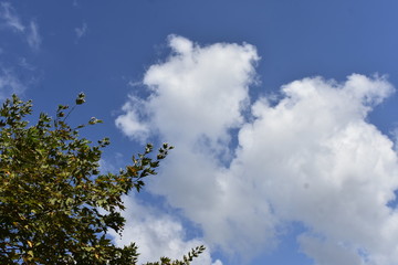blue sky and white clouds