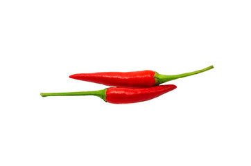 Red hot chilli on white background