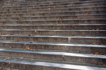 Steps and fallen autumn leaves on them.