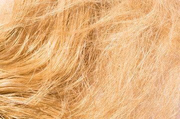 plant fiber texture chaotic